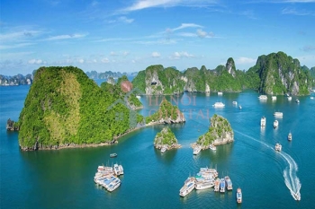 Giá vật liệu xây dựng tại Quảng Ninh quý II/2024